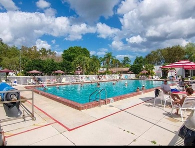 RESORT STYLE LIVING / METAL ROOF/ NEWER A/C / PRICED TO SELL - photo 32