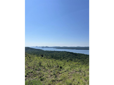 Approximately 40 acres with panoramic views of Lake Maumelle and - photo 2