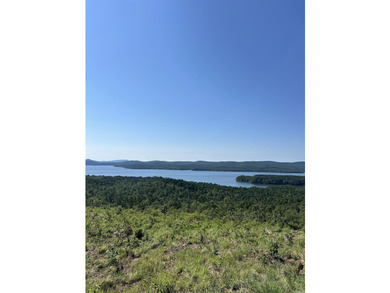 Approximately 40 acres with panoramic views of Lake Maumelle and - photo 3