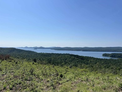 Approximately 40 acres with panoramic views of Lake Maumelle and - photo 4