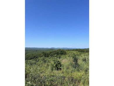 Approximately 40 acres with panoramic views of Lake Maumelle and - photo 7