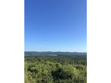 Approximately 40 acres with panoramic views of Lake Maumelle and - photo 9