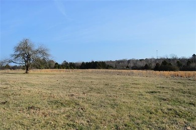 (private lake, pond, creek) Acreage For Sale in Antlers Oklahoma