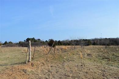 Take a look at this parcel of undeveloped pasture just a mile - photo 3