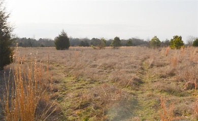 Take a look at this parcel of undeveloped pasture just a mile - photo 9