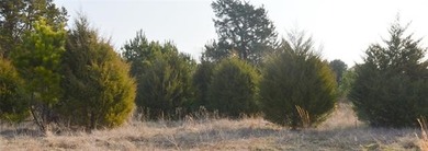 Take a look at this parcel of undeveloped pasture just a mile - photo 10