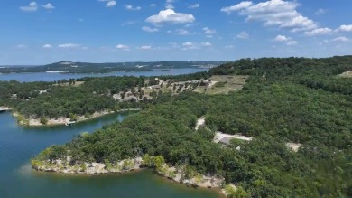 Table Rock Lake Lot For Sale in Blue Eye Missouri