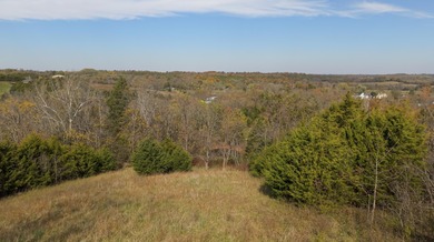 **Click on the *Virtual Tour* section to see the video walk - photo 9