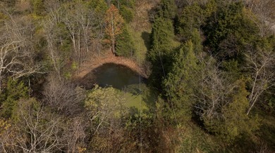**Click on the *Virtual Tour* section to see the video walk - photo 10