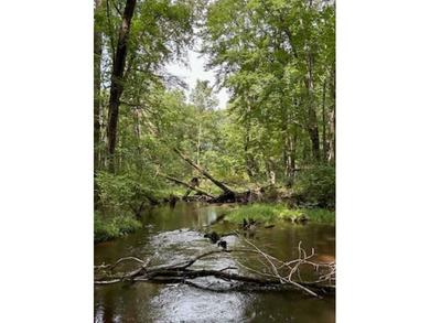 Lake Acreage For Sale in Pittsville, Wisconsin