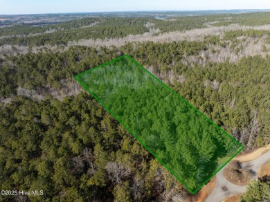 Lake Lot For Sale in Rockingham, North Carolina