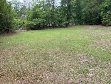 The owner has taken great care of the home and looks great. The - photo 21
