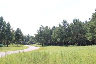 Builder's Special in Cypress Hills! Lots 24 and 25 totaling 5 - photo 2