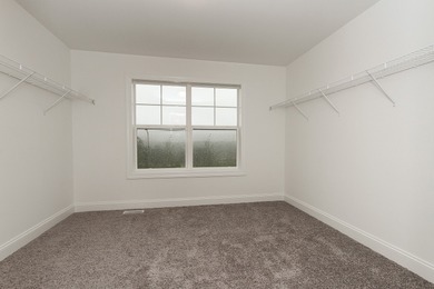 Welcome home! Stunning NEW CONSTRUCTION to be built in Lemont's - photo 23