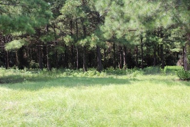 Builder's Special in Cypress Hills! Lots 24 and 25 totaling 5 - photo 4