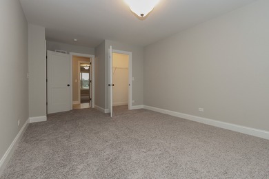 Welcome home! Stunning NEW CONSTRUCTION to be built in Lemont's - photo 29