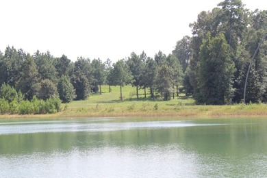 Builder's Special in Cypress Hills! Lots 24 and 25 totaling 5 - photo 10