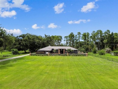 Lake Home For Sale in Lutz, Florida