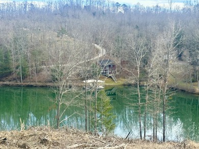 Sleepy Hollow Phase II Lake Front Lots - photo 6
