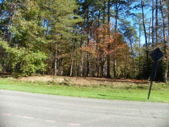 Priced to sell!!!! - Lake Lot For Sale in Badin, North Carolina