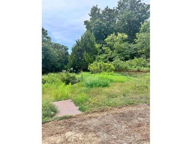Build your lake home or manufactured here! Walking distance to - photo 3