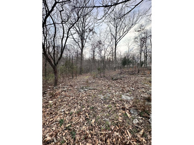Build your lake home or manufactured here! Walking distance to - photo 5