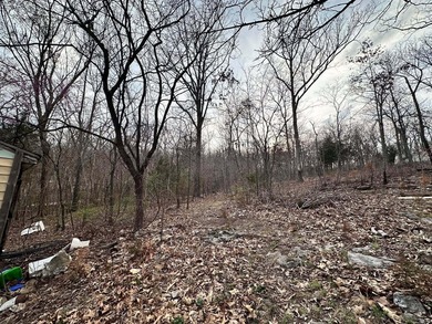 Build your lake home or manufactured here! Walking distance to - photo 7