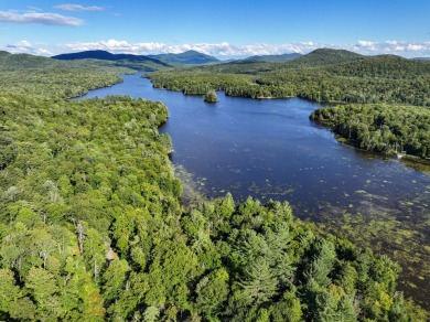 Lake Lot For Sale in Newcomb, New York