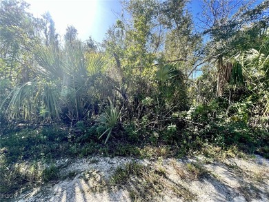 A spacious piece of land in historical Punta Gorda Florida with - photo 1