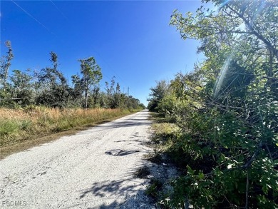 A spacious piece of land in historical Punta Gorda Florida with - photo 2