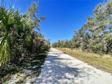 A spacious piece of land in historical Punta Gorda Florida with - photo 3