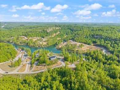 Sleepy Hollow Phase II is nestled on the banks of beautiful Wood - photo 9