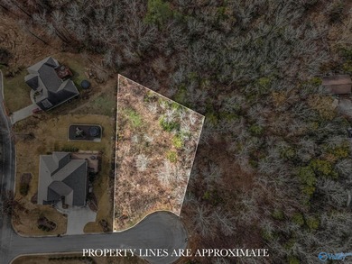 Lake Lot For Sale in Guntersville, Alabama