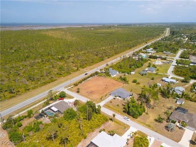 Welcome to beautiful Pine Island Florida! This incredible - photo 5