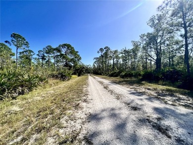 A spacious piece of land in historical Punta Gorda Florida with - photo 2