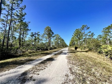 A spacious piece of land in historical Punta Gorda Florida with - photo 3