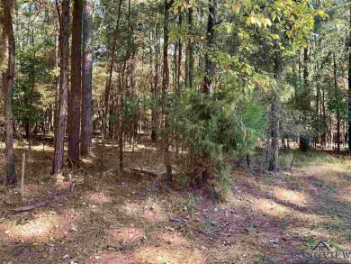 Lake Shadowood Reservoir Lot For Sale in Marshall Texas