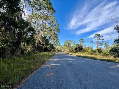 Beautiful lot offers a unique opportunity to build the home of - photo 3