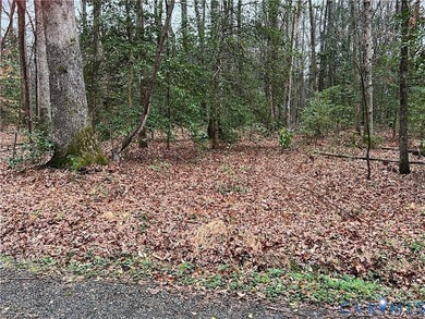 James River Lot Sale Pending in Henrico Virginia