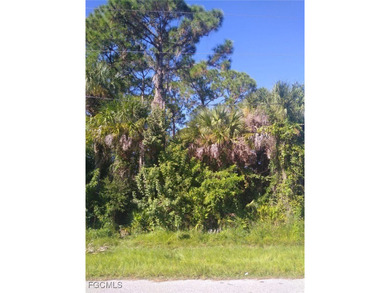 Port Charlotte Waterway Area Lot For Sale in Port Charlotte Florida