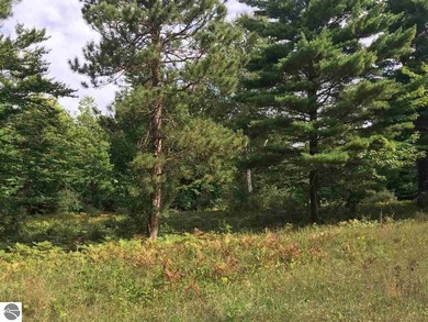 Beautiful Parcel ''J'', very close to Lake Michigan - photo 2