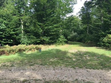 Beautiful Parcel ''J'', very close to Lake Michigan - photo 3
