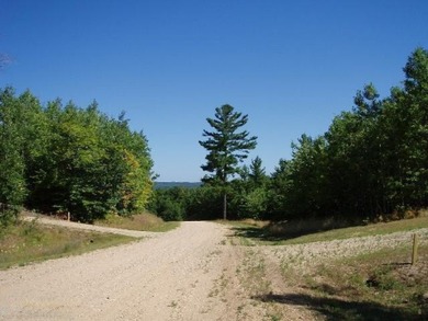 Beautiful Parcel ''J'', very close to Lake Michigan - photo 4