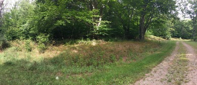 Beautiful Parcel ''J'', very close to Lake Michigan - photo 6