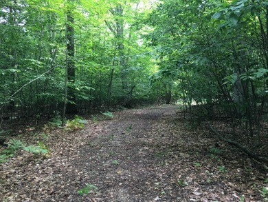 Beautiful Parcel ''J'', very close to Lake Michigan - photo 7