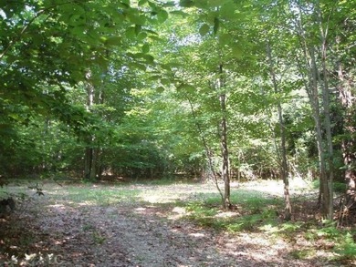 Beautiful Parcel ''J'', very close to Lake Michigan - photo 8