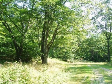 Beautiful Parcel ''J'', very close to Lake Michigan - photo 10