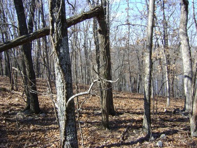 Diamond Lake Acreage For Sale in Horseshoe Bend Arkansas