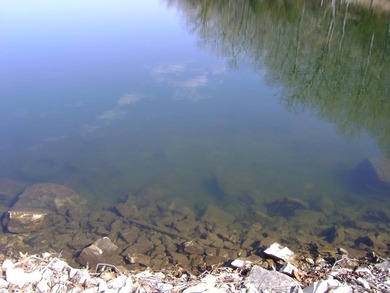 Additional listing photo 4