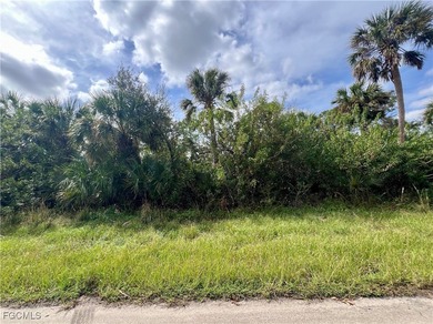Port Charlotte Waterway Area Lot For Sale in Port Charlotte Florida
